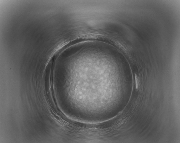 X0000057580675200509231252