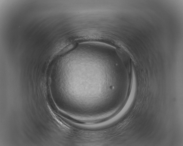 X0000057580677200509231252