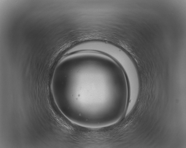 X0000057580681200509231252