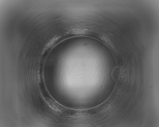 X0000057580682200509231252