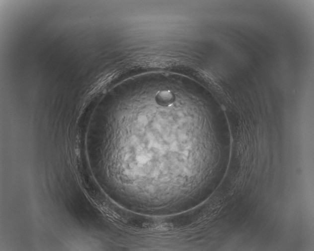 X0000057580683200509231252