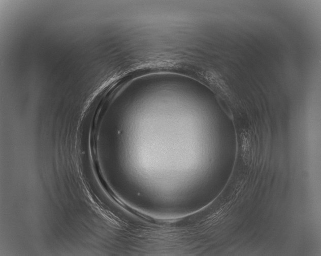 X0000057580684200509231252