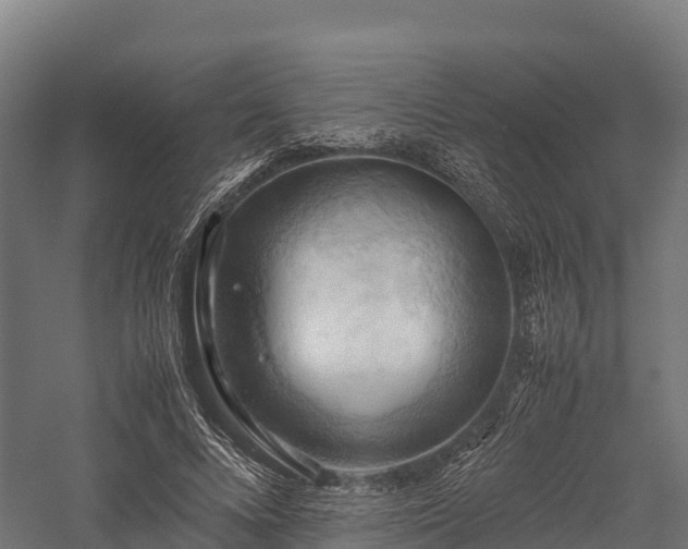 X0000057580688200509231252