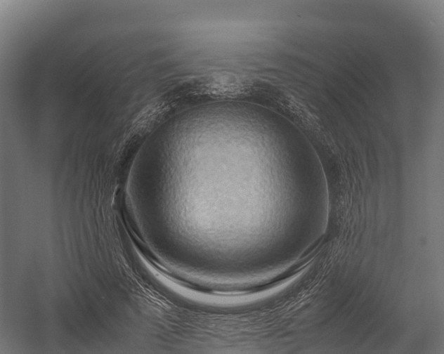 X0000057580689200509231252