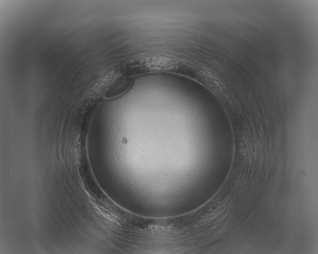 X0000057580690200509231252