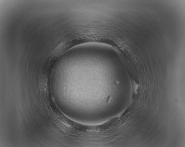 X0000057580693200509231252