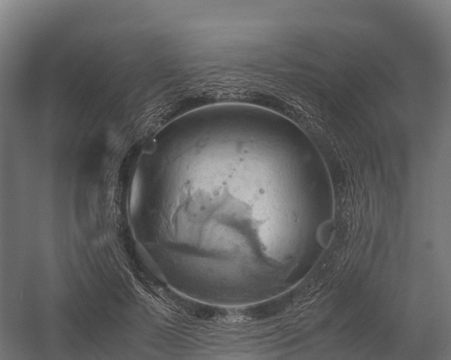 X0000057580695200509231252