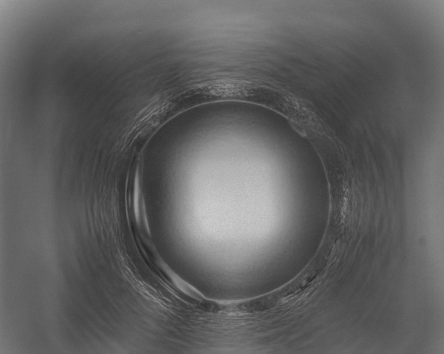 X0000057580696200509231252