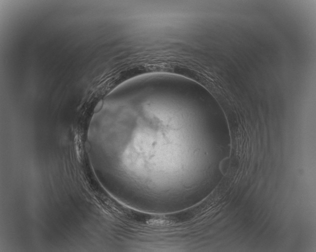 X0000057580699200509231252