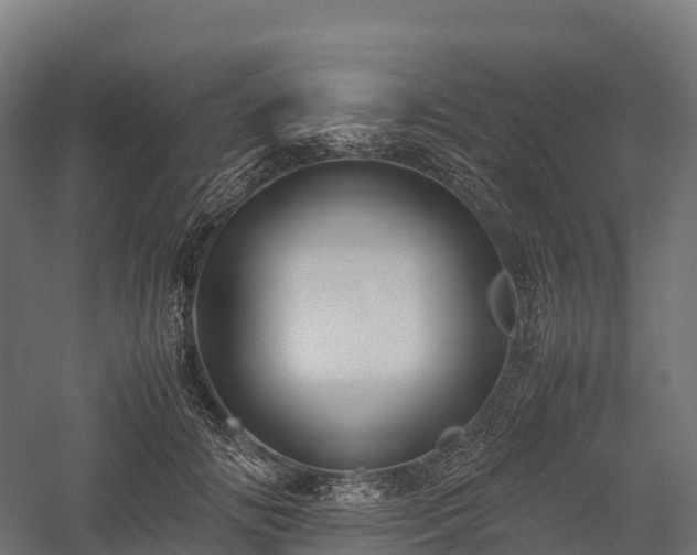 X0000057580702200509231252