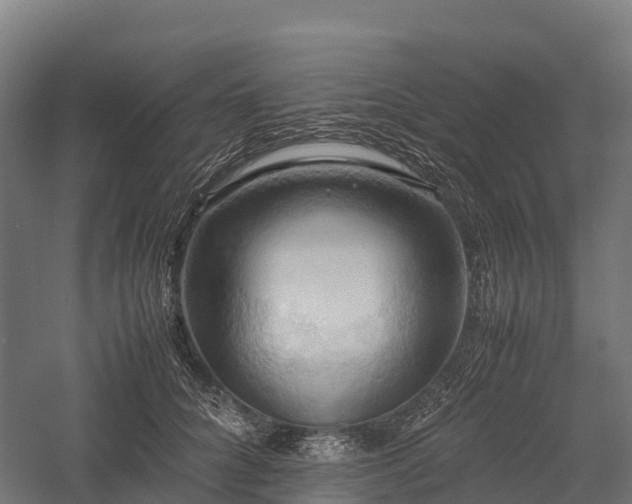 X0000057580704200509231252