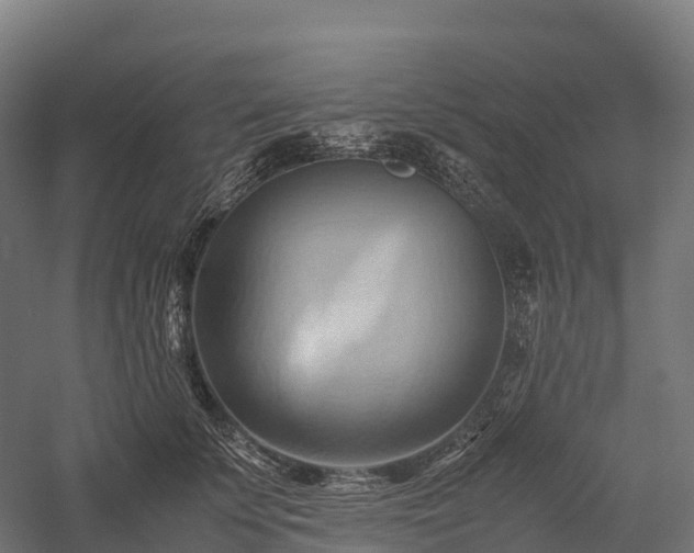 X0000057580707200509231252