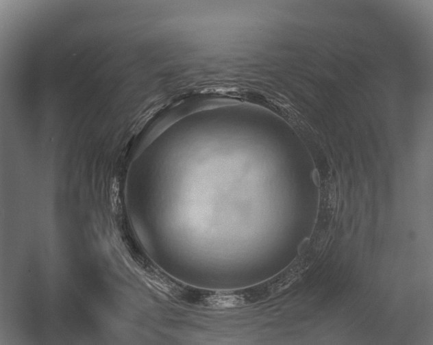 X0000057580711200509231252