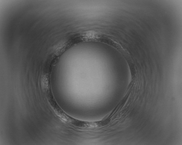 X0000057580715200509231252