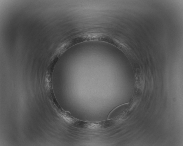 X0000057580718200509231251