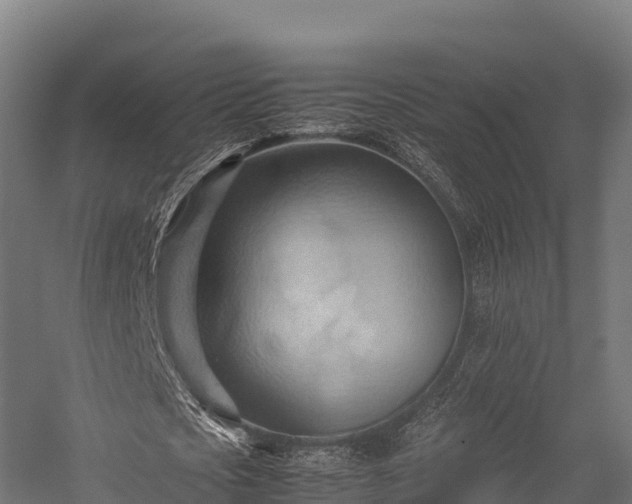 X0000057580721200509231251