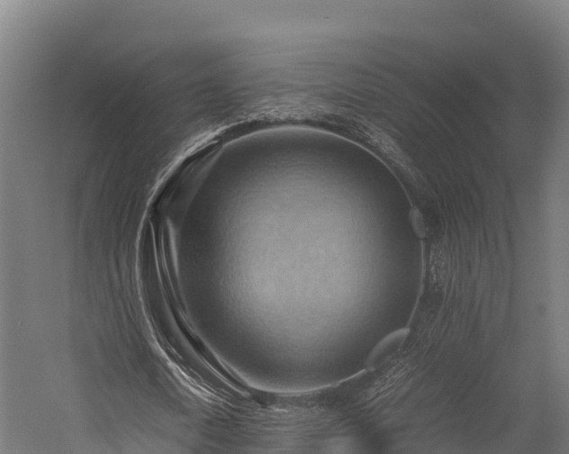 X0000057580722200509231251