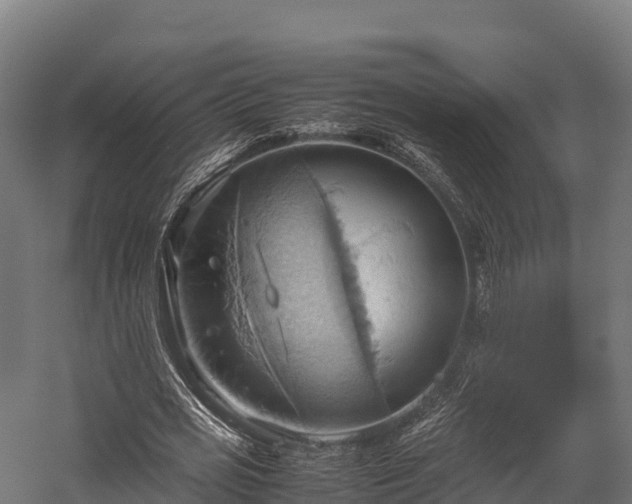 X0000057580725200509231251