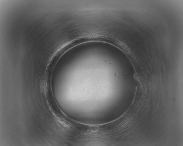 X0000057580728200509231251