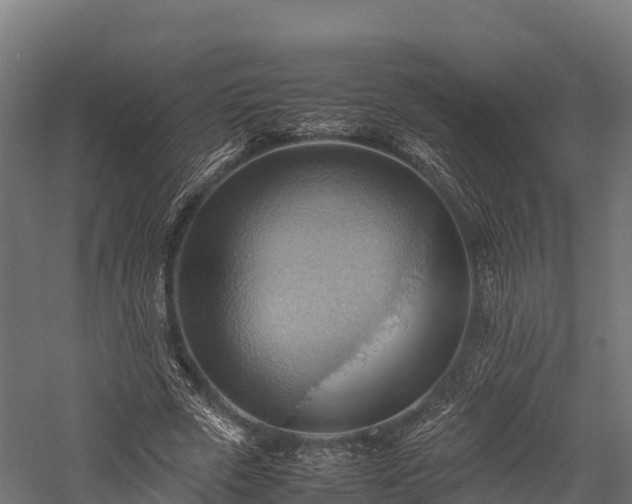 X0000057580729200509231251