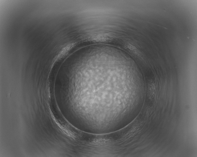 X0000057580734200509231251