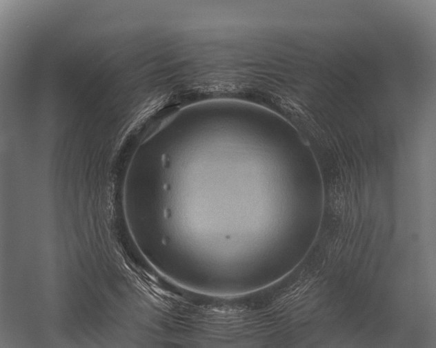 X0000057580735200509231251