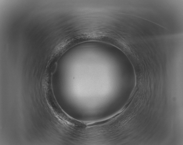 X0000057580736200509231251