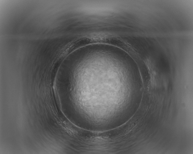 X0000057580737200509231251