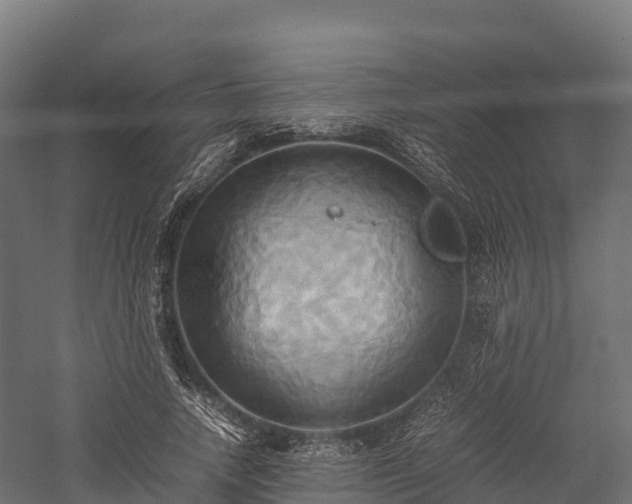 X0000057580738200509231251