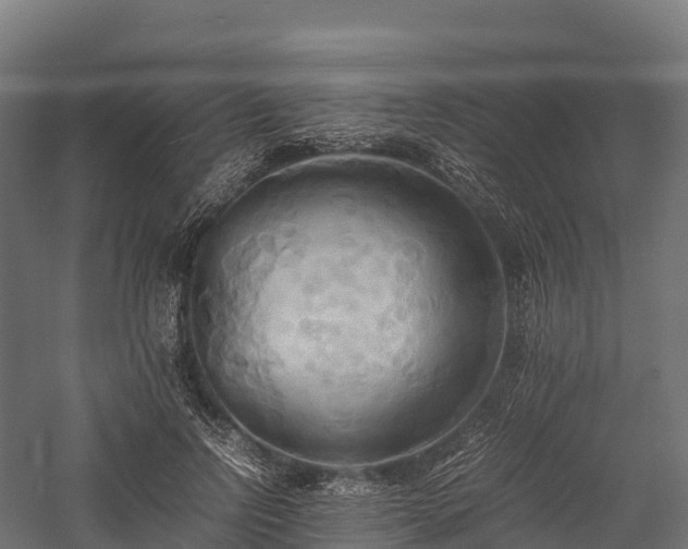 X0000057580742200509231251