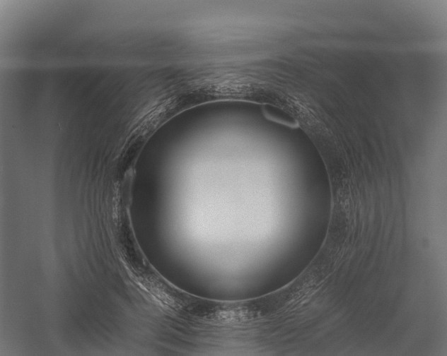 X0000057580744200509231251