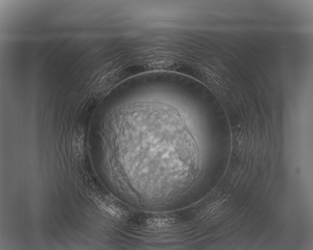 X0000057580745200509231251