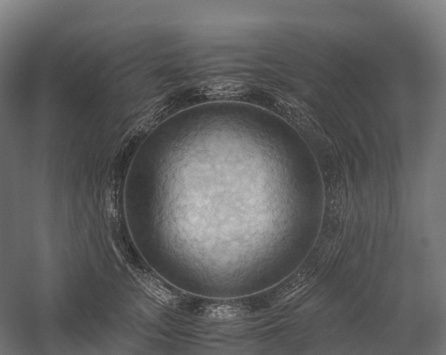 X0000057580755200509231251