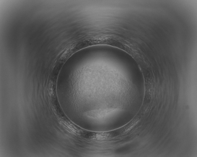 X0000057580758200509231251