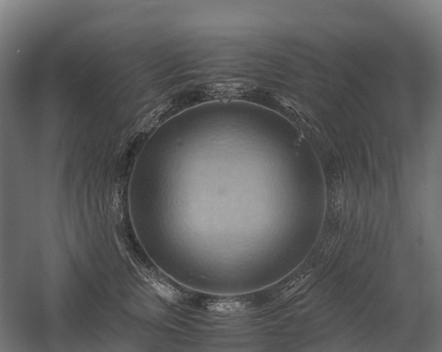 X0000057580759200509231251