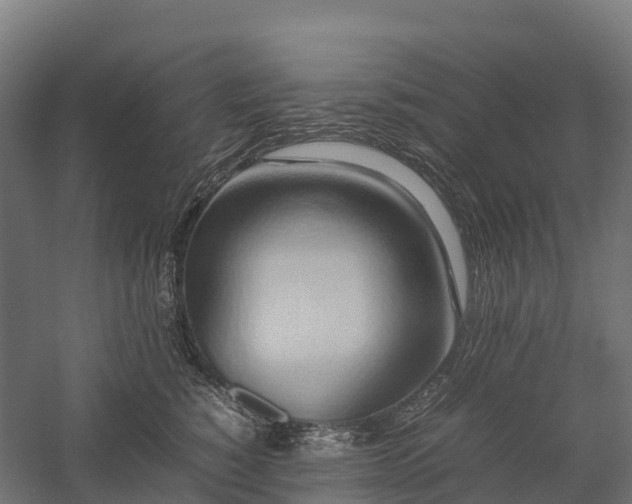 X0000057580760200509231251