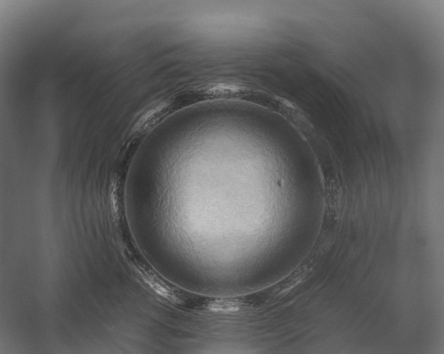 X0000057580762200509231251