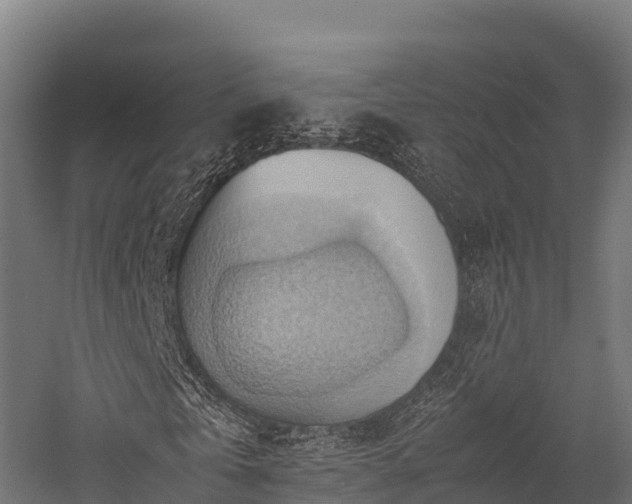 X0000057580769200509231251