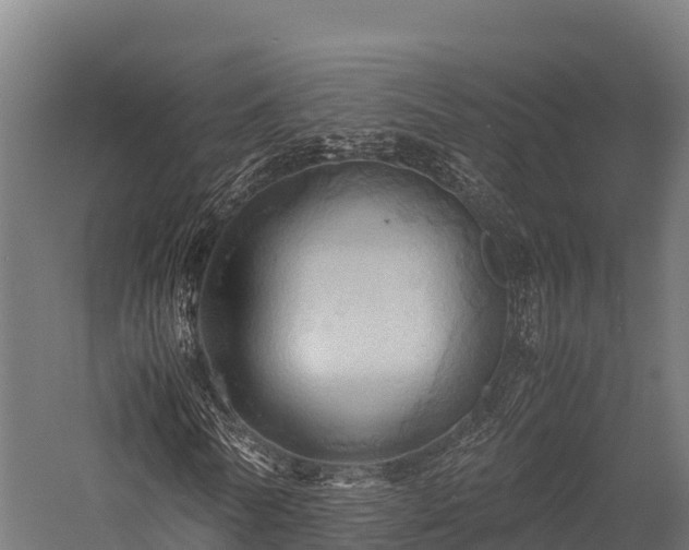 X0000057580770200509231251