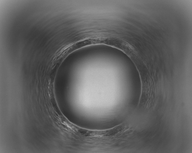 X0000057580773200509231251