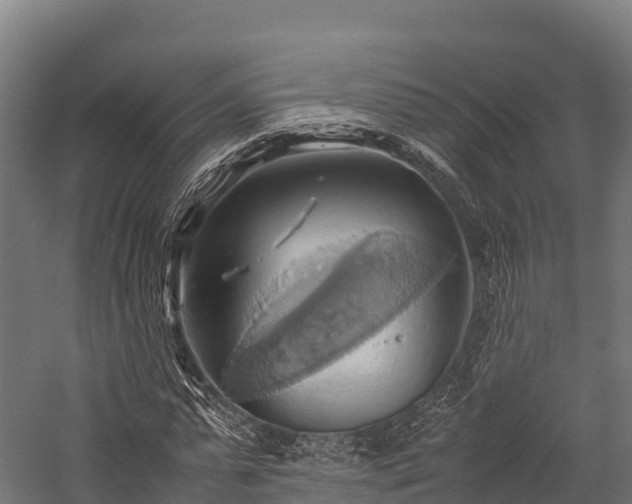 X0000057580775200509231251