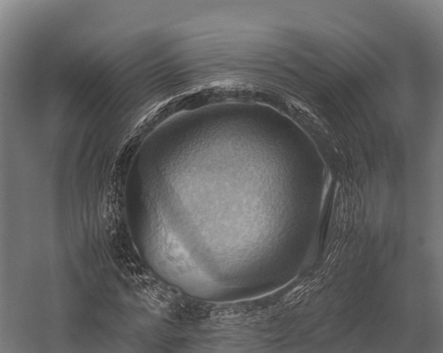 X0000057580776200509231251