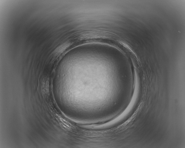 X0000057580777200509231250