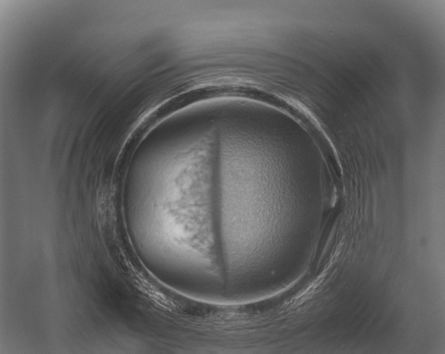 X0000057580783200509231250