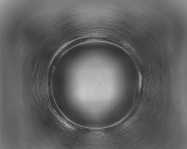 X0000057580784200509231250