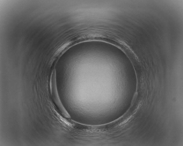 X0000057580785200509231250