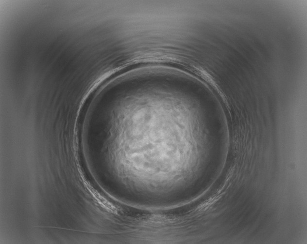 X0000057580787200509231250