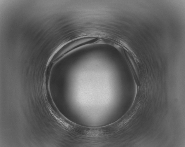 X0000057580788200509231250