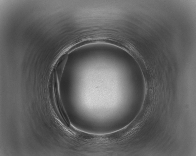 X0000057580789200509231250