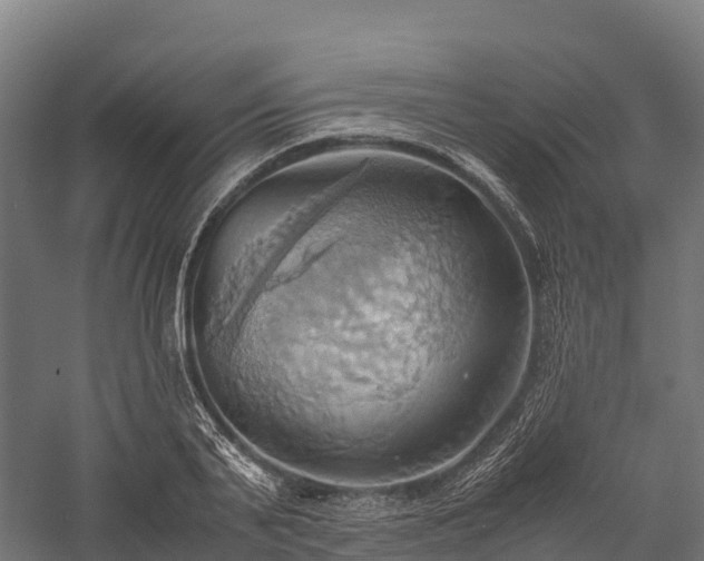 X0000057580791200509231250